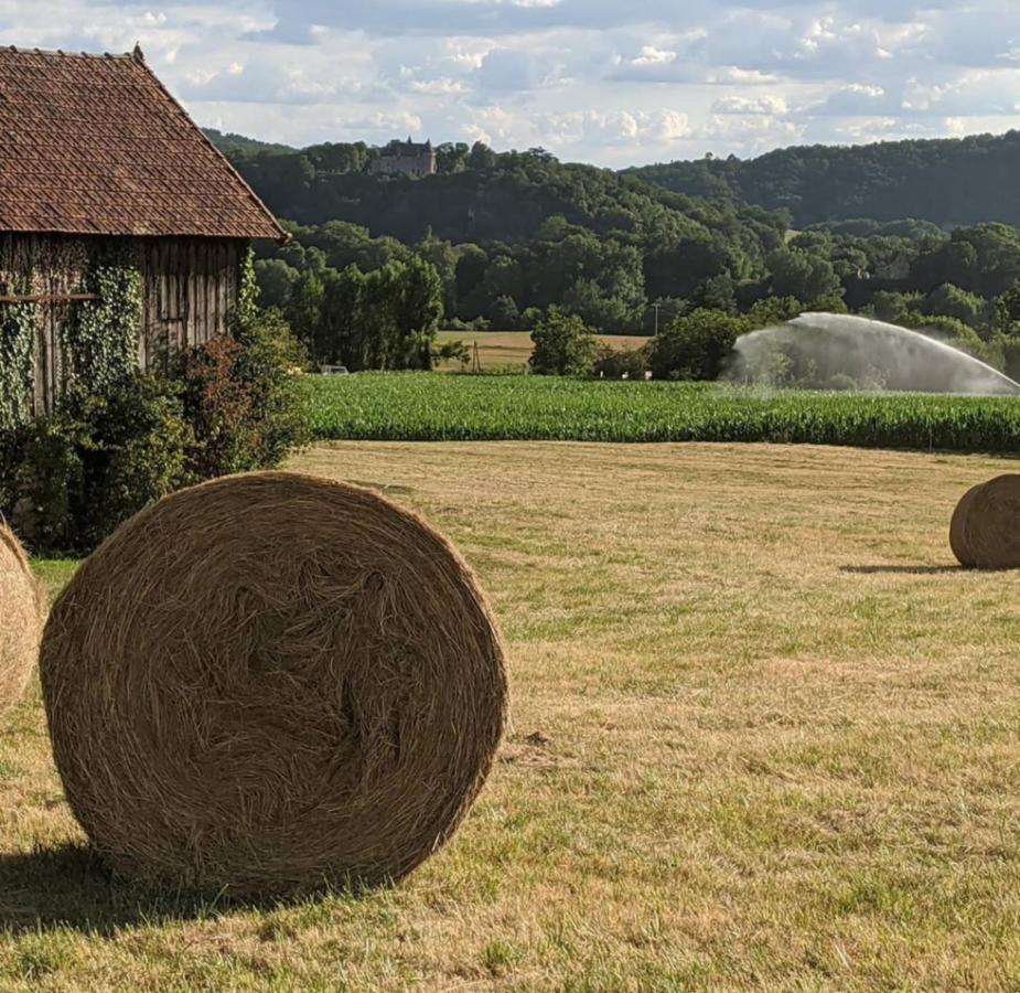 Domaine De Fleurie Bed & Breakfast Tursac Exterior photo